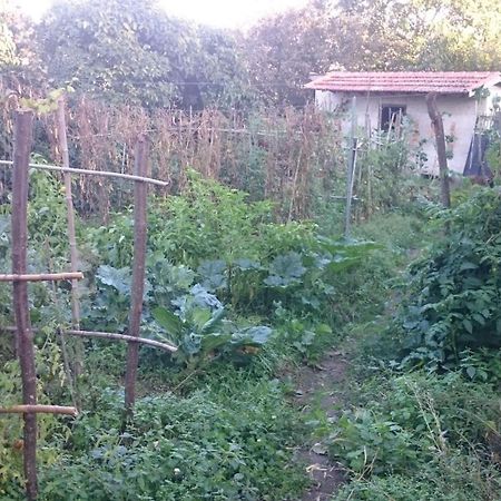 Affittacamere Casa MiraXurés con vistas a la Sierra del Xurés Ourense Esterno foto