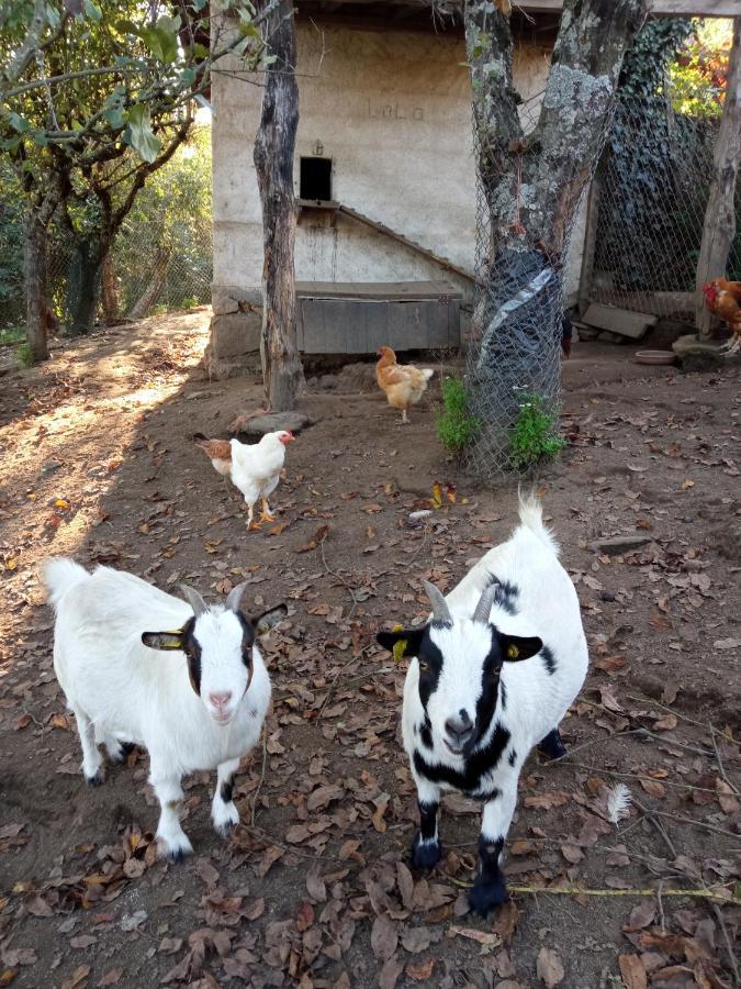 Affittacamere Casa MiraXurés con vistas a la Sierra del Xurés Ourense Esterno foto